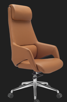ELVORA Regale executive throne chair Delhi premium office